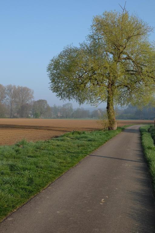 B&B Silentium Tielt Esterno foto