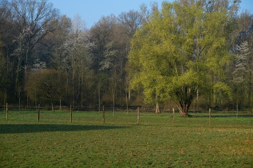 B&B Silentium Tielt Esterno foto