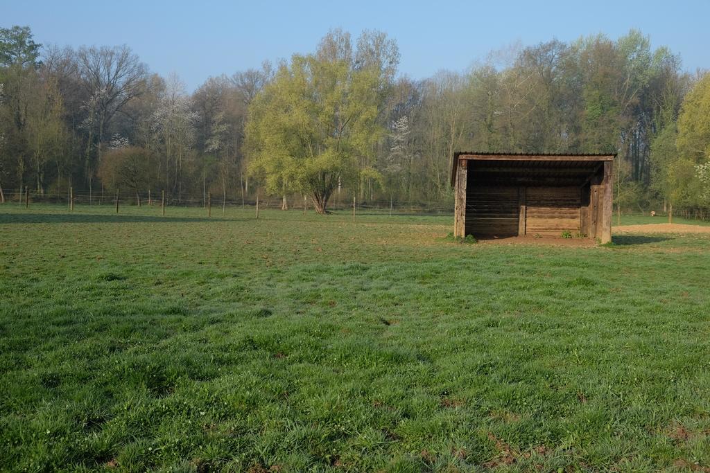 B&B Silentium Tielt Esterno foto